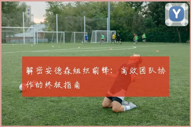 解密安德森组织前锋：高效团队协作的终极指南